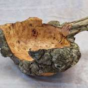 thumbs_IMG_7532