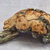 thumbs_IMG_7533