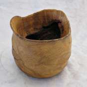 thumbs_IMG_7548